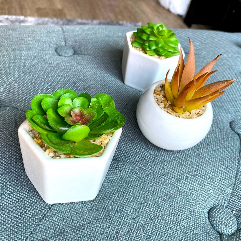 Artificial decor plants 3 Set